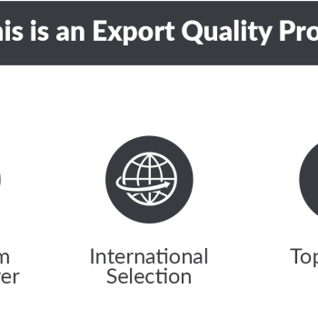 Export-Quality-Of-Multani-KTF-Bedsheet